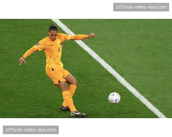 荷兰罗森达尔公开赛：东道主选手范德费尔登在家乡父老面前夺冠